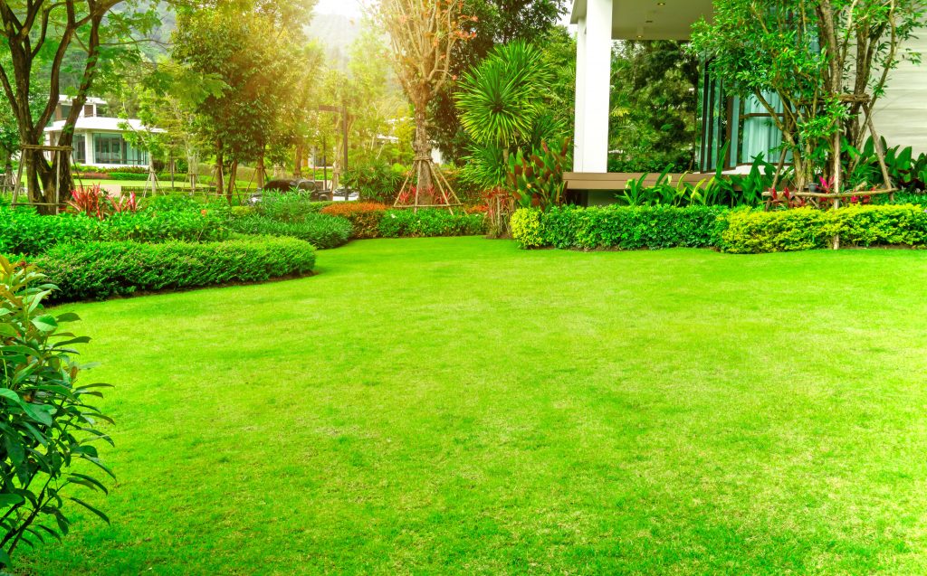 Colbert Lawn Service's Winning Tips for May 2021