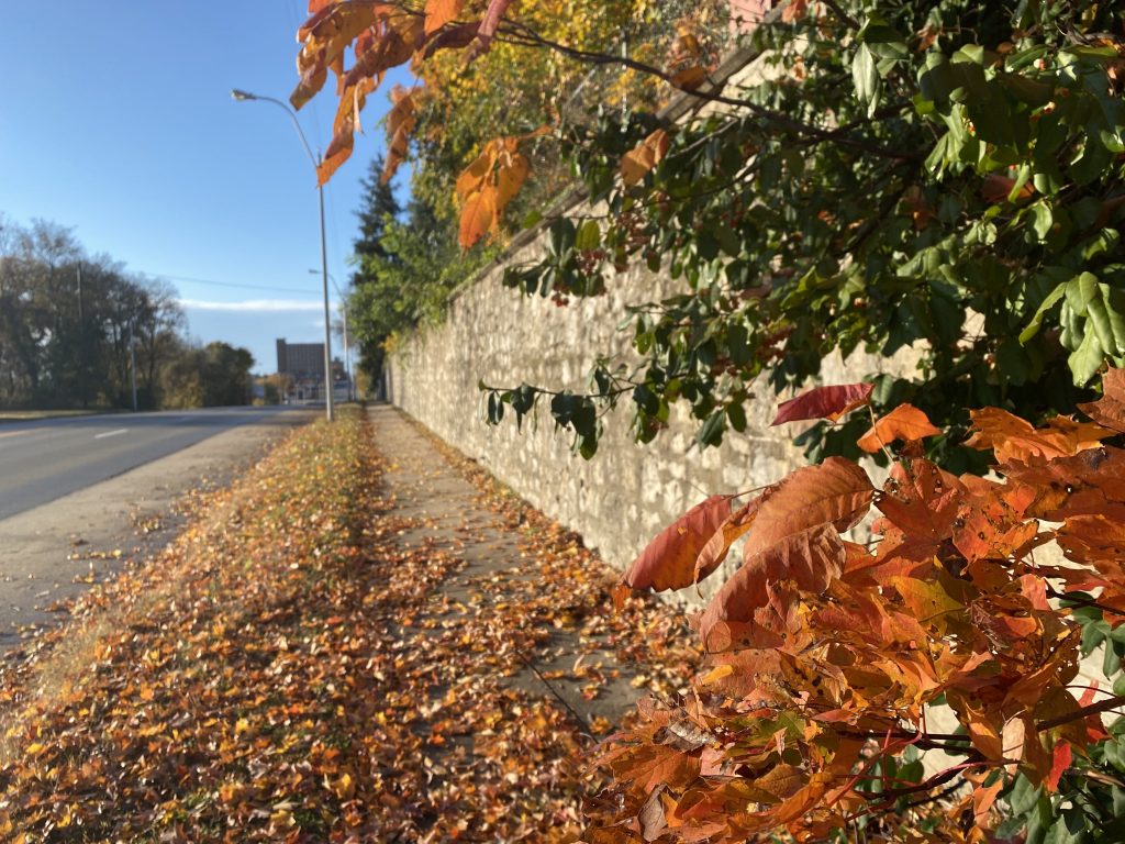 Residential Leaf Pick-Up Begins Monday, November 27