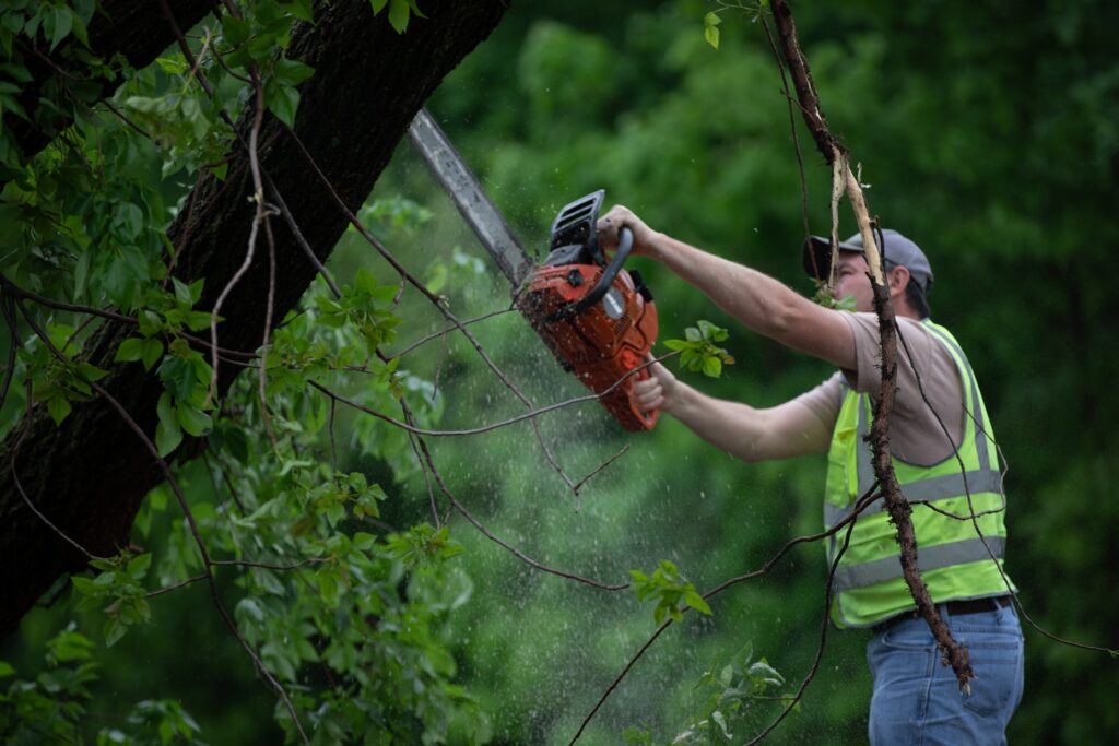 City of Joplin Crews Cleaning Up After Small, Unwarned Tornado